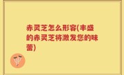 赤灵芝怎么形容(丰盛的赤灵芝将激发您的味蕾)