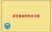 灵芝是如何生长过程