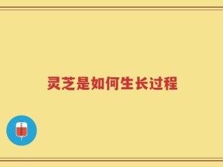 灵芝是如何生长过程
