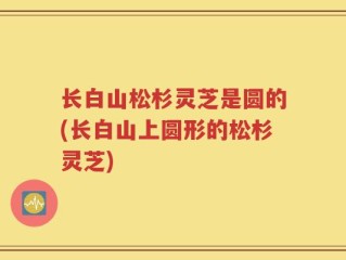 长白山松杉灵芝是圆的(长白山上圆形的松杉灵芝)