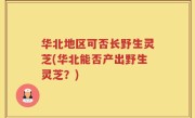 华北地区可否长野生灵芝(华北能否产出野生灵芝？)