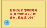 野生松杉灵芝哪些地方有(野生松杉灵芝产地分布，你知道几个？)