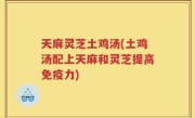 天麻灵芝土鸡汤(土鸡汤配上天麻和灵芝提高免疫力)