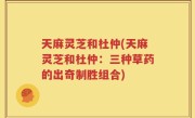 天麻灵芝和杜仲(天麻灵芝和杜仲：三种草药的出奇制胜组合)