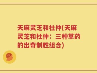 天麻灵芝和杜仲(天麻灵芝和杜仲：三种草药的出奇制胜组合)