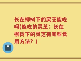 长在柳树下的灵芝能吃吗(能吃的灵芝：长在柳树下的灵芝有哪些食用方法？)