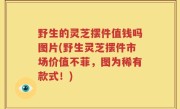 野生的灵芝摆件值钱吗图片(野生灵芝摆件市场价值不菲，图为稀有款式！)