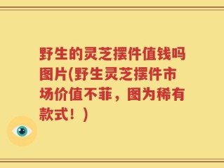 野生的灵芝摆件值钱吗图片(野生灵芝摆件市场价值不菲，图为稀有款式！)