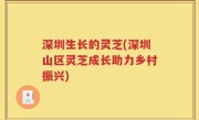 深圳生长的灵芝(深圳山区灵芝成长助力乡村振兴)