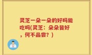 灵芝一朵一朵的好吗能吃吗(灵芝：朵朵皆好，何不品尝？)