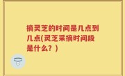 摘灵芝的时间是几点到几点(灵芝采摘时间段是什么？)