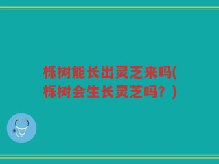 栎树能长出灵芝来吗(栎树会生长灵芝吗？)