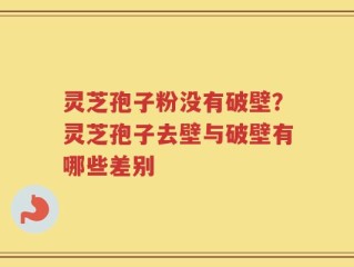 灵芝孢子粉没有破壁？灵芝孢子去壁与破壁有哪些差别