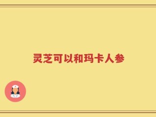 灵芝可以和玛卡人参