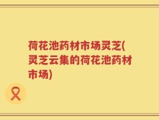 荷花池药材市场灵芝(灵芝云集的荷花池药材市场)