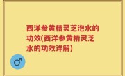 西洋参黄精灵芝泡水的功效(西洋参黄精灵芝水的功效详解)