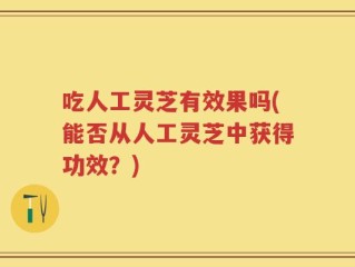 吃人工灵芝有效果吗(能否从人工灵芝中获得功效？)