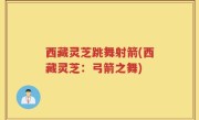 西藏灵芝跳舞射箭(西藏灵芝：弓箭之舞)