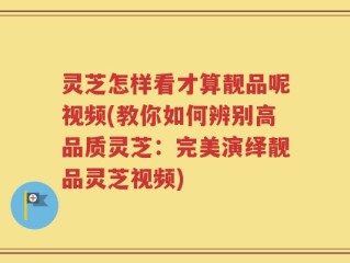 灵芝怎样看才算靓品呢视频(教你如何辨别高品质灵芝：完美演绎靓品灵芝视频)