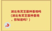 湖北有灵芝菌种基地吗(湖北有灵芝菌种基地，你知道吗？)