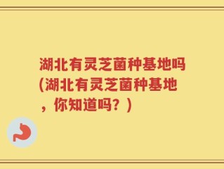 湖北有灵芝菌种基地吗(湖北有灵芝菌种基地，你知道吗？)
