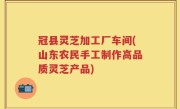 冠县灵芝加工厂车间(山东农民手工制作高品质灵芝产品)