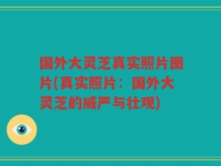 国外大灵芝真实照片图片(真实照片：国外大灵芝的威严与壮观)