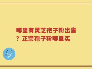 哪里有灵芝孢子粉出售？正宗孢子粉哪里买