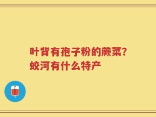 叶背有孢子粉的蕨菜？蛟河有什么特产