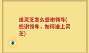 送灵芝怎么感谢领导(感谢领导，如何送上灵芝)