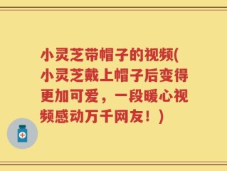 小灵芝带帽子的视频(小灵芝戴上帽子后变得更加可爱，一段暖心视频感动万千网友！)