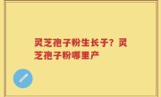 灵芝孢子粉生长于？灵芝孢子粉哪里产