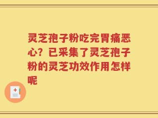 灵芝孢子粉吃完胃痛恶心？已采集了灵芝孢子粉的灵芝功效作用怎样呢