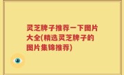 灵芝牌子推荐一下图片大全(精选灵芝牌子的图片集锦推荐)