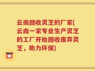 云南回收灵芝的厂家(云南一家专业生产灵芝的工厂开始回收废弃灵芝，助力环保)