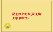 灵芝路上的车(灵芝路上车来车往)