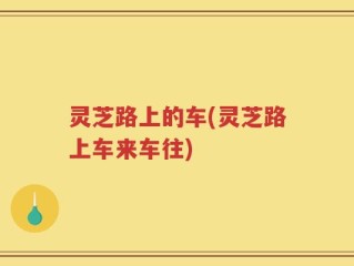 灵芝路上的车(灵芝路上车来车往)