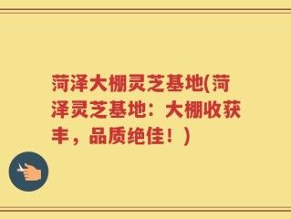 菏泽大棚灵芝基地(菏泽灵芝基地：大棚收获丰，品质绝佳！)
