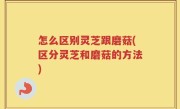 怎么区别灵芝跟磨菇(区分灵芝和磨菇的方法)
