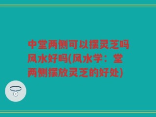 中堂两侧可以摆灵芝吗风水好吗(风水学：堂两侧摆放灵芝的好处)