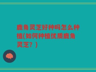 鹿角灵芝好种吗怎么种植(如何种植优质鹿角灵芝？)