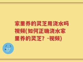 家里养的灵芝用浇水吗视频(如何正确浇水家里养的灵芝？-视频)