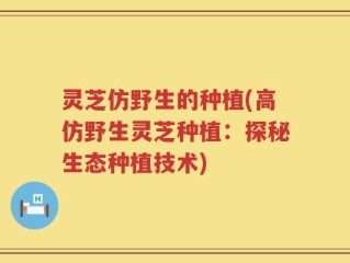灵芝仿野生的种植(高仿野生灵芝种植：探秘生态种植技术)