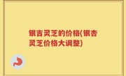 银吉灵芝的价格(银杏灵芝价格大调整)