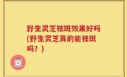 野生灵芝祛斑效果好吗(野生灵芝真的能祛斑吗？)