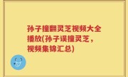 孙子撞翻灵芝视频大全播放(孙子误撞灵芝，视频集锦汇总)