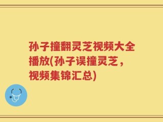 孙子撞翻灵芝视频大全播放(孙子误撞灵芝，视频集锦汇总)