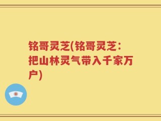 铭哥灵芝(铭哥灵芝：把山林灵气带入千家万户)