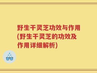 野生干灵芝功效与作用(野生干灵芝的功效及作用详细解析)