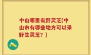 中山哪里有野灵芝(中山市有哪些地方可以采野生灵芝？)